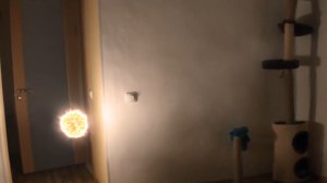 Шаровая молния залетела в квартиру  ---  Ball lightning flew into the apartment