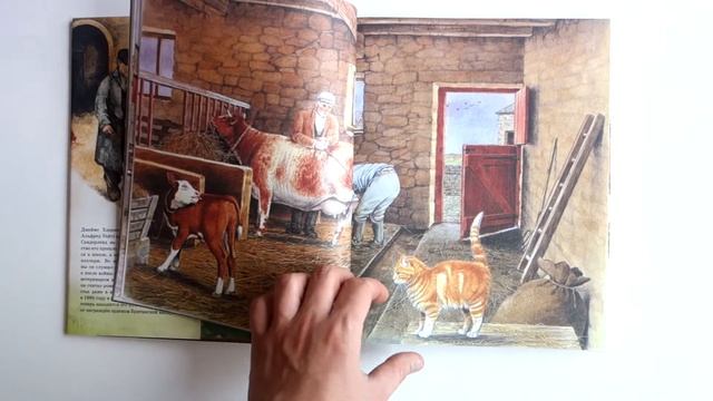 Детям. Рассказы о животных. Джеймс Хэрриот смотреть онлайн