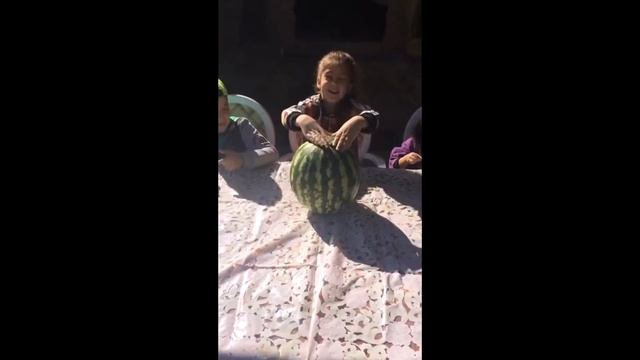 Эксперимент с арбузом смотреть онлайн