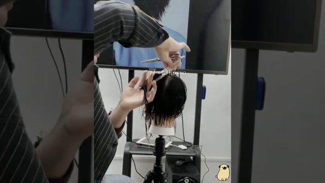 MULLET ✁ (wolfcut) - TUTORIAL [StepbyStep]⚘ #newhairstyle