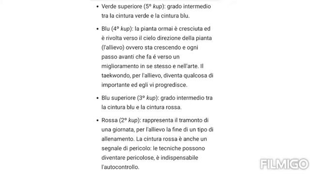 TAEKWONDO le cinture смотреть онлайн