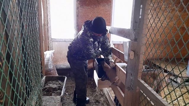 Жизнь в деревне. Дела по хозяйству. смотреть онлайн