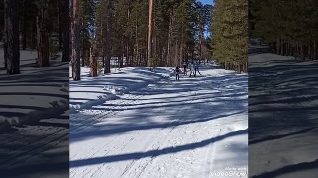 Номинация 4 "Мой любимый вид спорта" смотреть онлайн