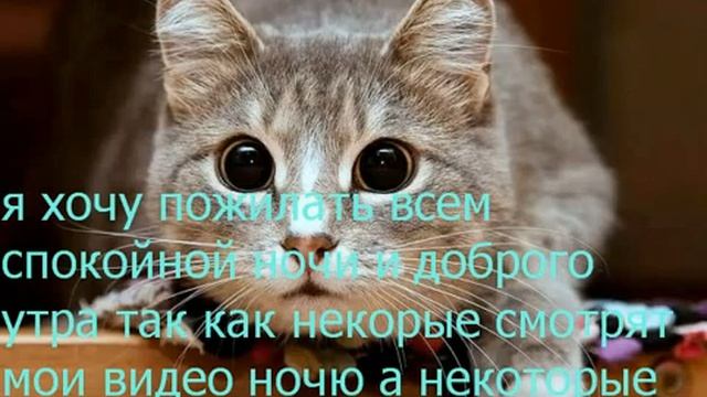 с добрым утром и сладких снов подписчики!