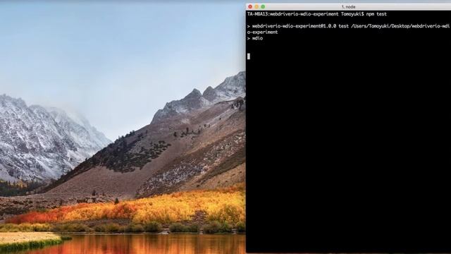 WebdriverIO wdio test runner смотреть онлайн
