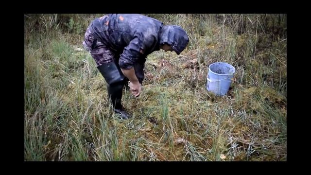 Музей под открытым небом часть 5 смотреть онлайн