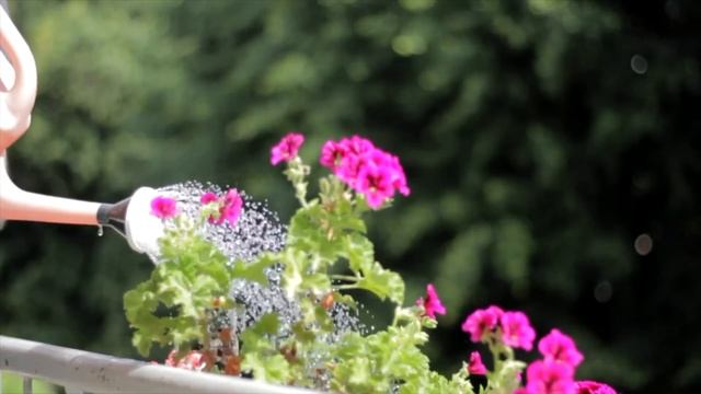 Медитация | Аффирмация на успех, удачу и процветание! Лучшая настройка на успех! смотреть онлайн