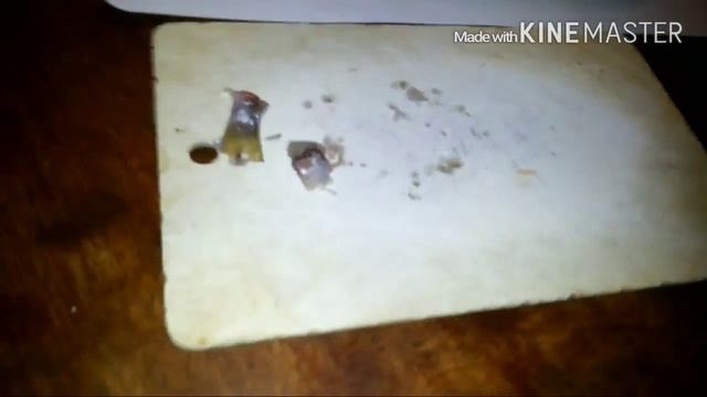 Ладожская плотва смотреть онлайн