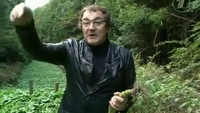 Васаби [ Vk.com/smgif ]