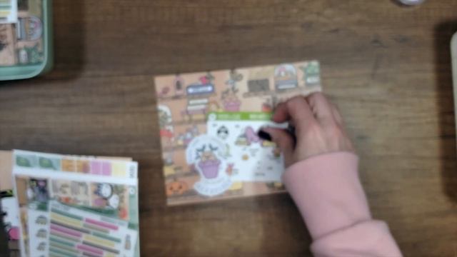 Planner Sticker Subscription Reveal/ April 2024/ Cocoa & Fluff смотреть онлайн