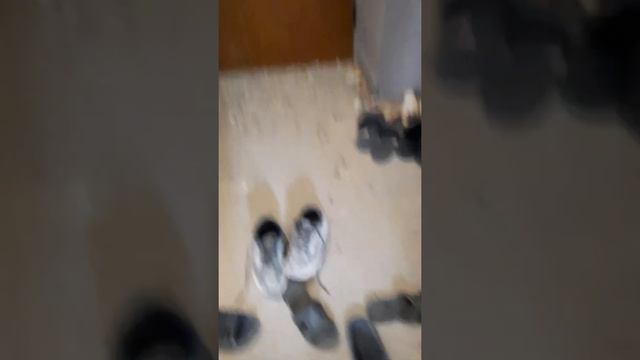 Как живем в Адлере - Сочи... Приехали на работу... смотреть онлайн