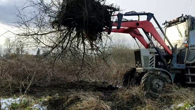 деревья вырыватель на мтз смотреть онлайн
