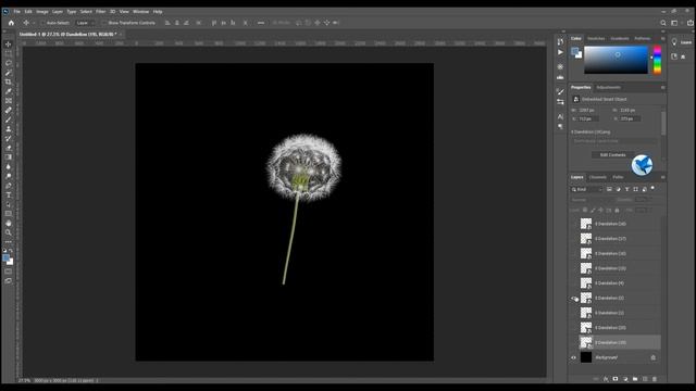 50 dandelion overlays：dandelion photoshop overlays，dandelion flower png
