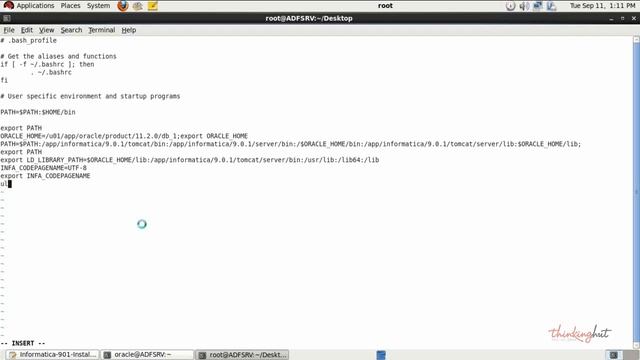 Informatica Power Center 9.0.1 Installation on RHEL 6 смотреть онлайн