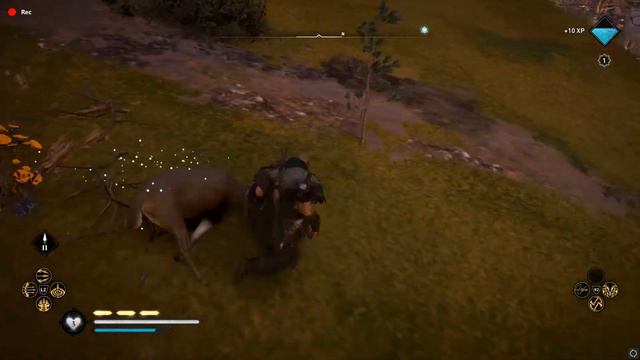 AC Valhalla Skal To Your Wealth | Bear Testicles & Fresh Lichen | Ledecestrescire Mystery