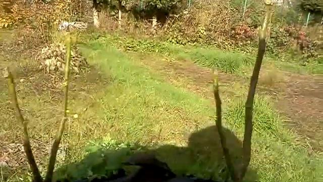 Виноград ГРЕЦКИЙ орех ? ФУНДУК АЛЫЧА САНКТ ПЕТЕРБУРГЕ Лен обл. ОЧЕНЬ смотреть онлайн