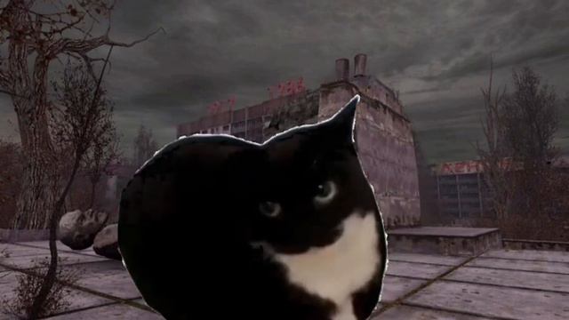 MAXWELL флексит под радио бандитов из S.T.A.L.K.E.R Clear Sky!