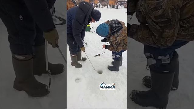 РК «Чайка».День рыбака. смотреть онлайн