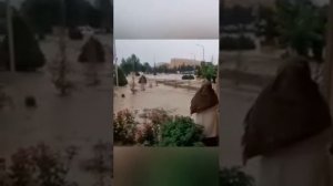 сел дар душанбе