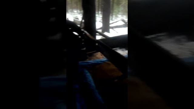 Молотьба кедровых шишек смотреть онлайн