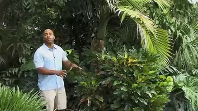 Expert Gardener William Moss' Tips on How to Take Care of Houseplants смотреть онлайн