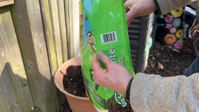 How To Grow Clematis In Pots смотреть онлайн