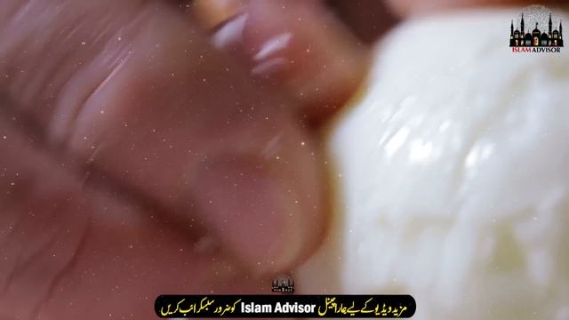 Benefits of eating boiled egg in empty stomach || Ubla Anda Khane Ke Fayde || Islam Advisor смотреть онлайн