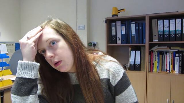 A Ginger Cat o0 - Day 79 : The Brit Vlog 26.11.2012 смотреть онлайн