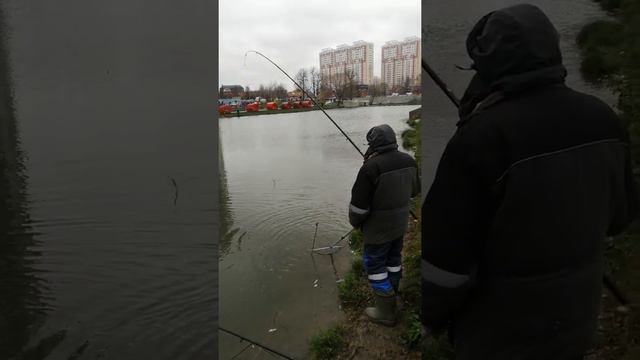 Паста сырная 20см от дна смотреть онлайн