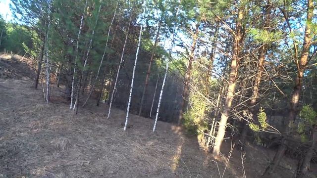 КОГДА НЕТ ДЕНЕГ ВЫРУЧАЕТ МЕТАЛЛОКОП. смотреть онлайн