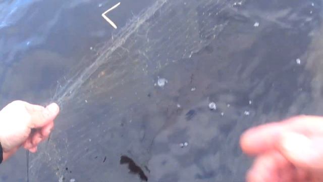 РЫБАЛКА! АРКТИКА | Клюнула громадная корюшка | Рыбалка на корюшку | Колы ходили ходуном. смотреть онлайн