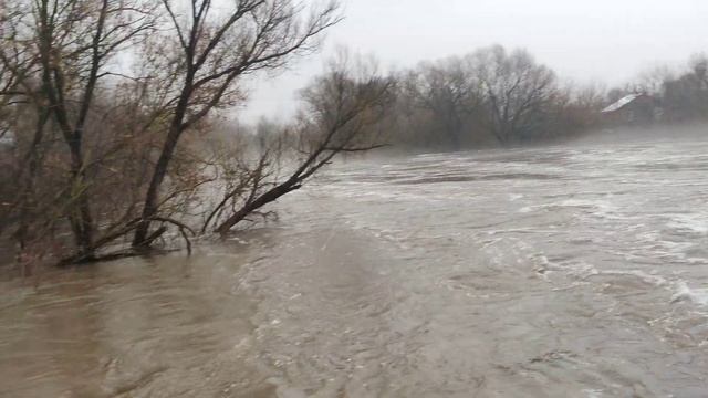 Половодье р. Осётр, плотина смотреть онлайн