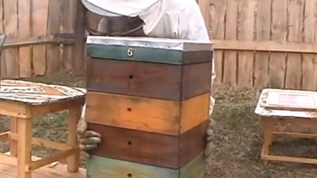 Улей Удав Технология пчеловождения смотреть онлайн