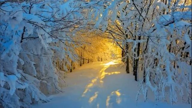 После родов Катя никак не могла дозвониться мужу. Но когда раздался звонок с незнакомого номера, он смотреть онлайн