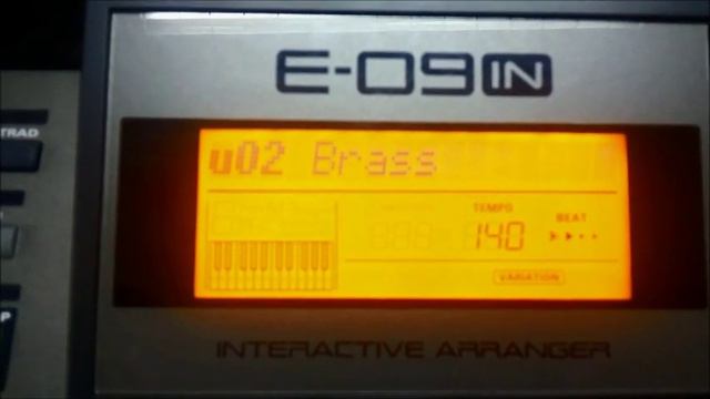 Roland E09 IN Rhythm, Style, Tempo and Transpose Tutorial смотреть онлайн