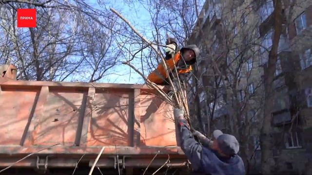 Красноярцы вышли на субботник смотреть онлайн