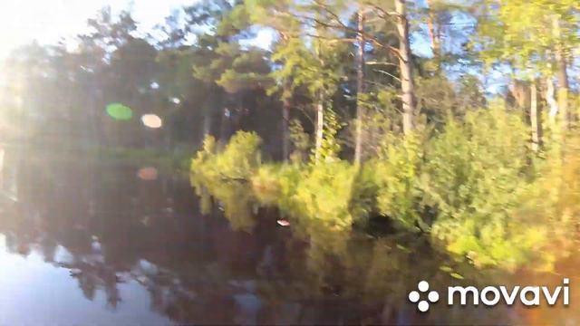 Ловля щуки на кружки смотреть онлайн