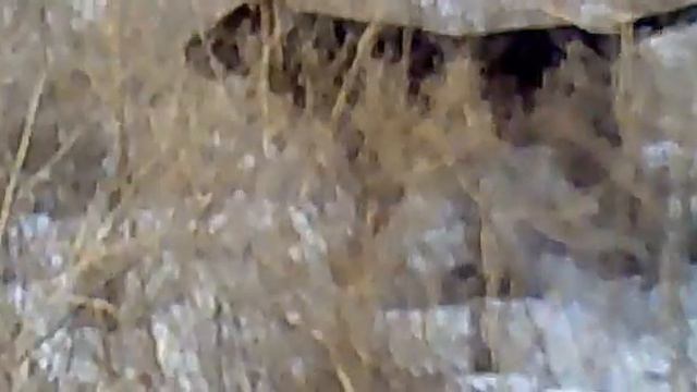 Стойка Дратхар.mp4 смотреть онлайн