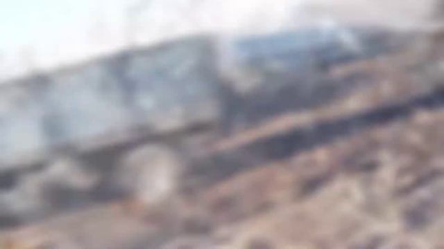 Утилизация древесных отходов (Санкт-Петербург) смотреть онлайн