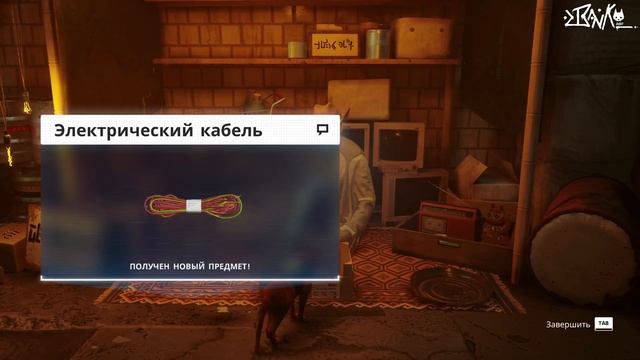 ЗАЧЕМ И ДЛЯ КОГО ПОНЧО В ИГРЕ STRAY смотреть онлайн