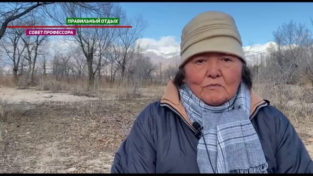 Отдыхать на диване надо тоже уметь смотреть онлайн