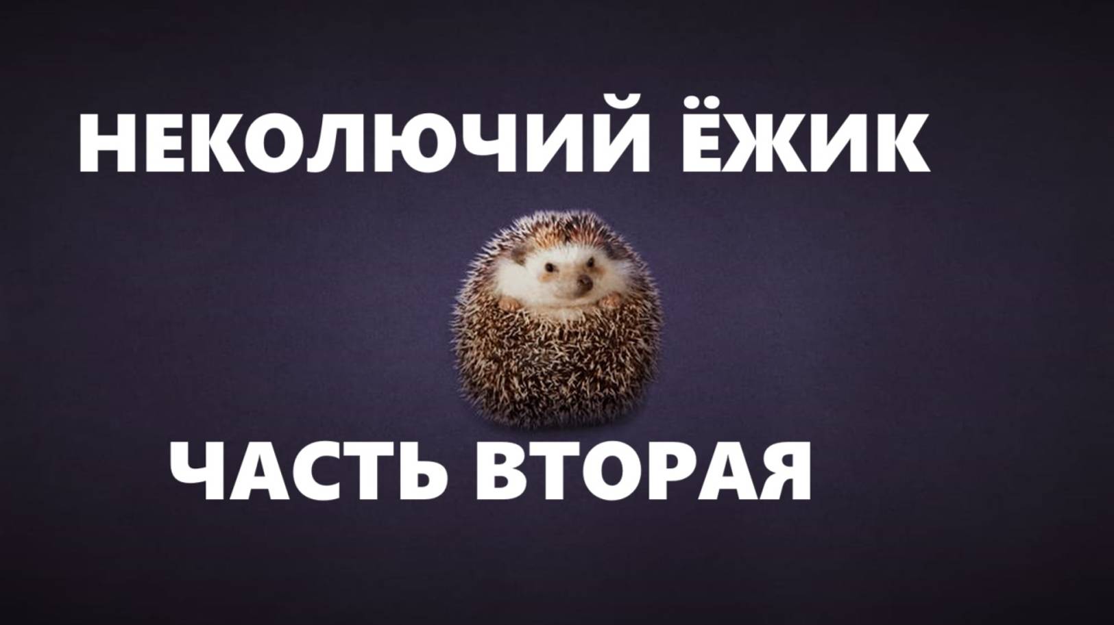 Вязаный ёжик,часть 2.Игрушки.(сентябрь 2024г) смотреть онлайн