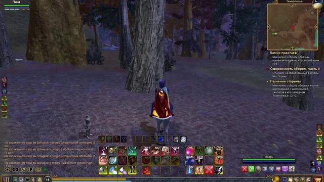 EverQuest 2 RU - Прохождение квестов. #40 Шипокамень убийца смотреть онлайн