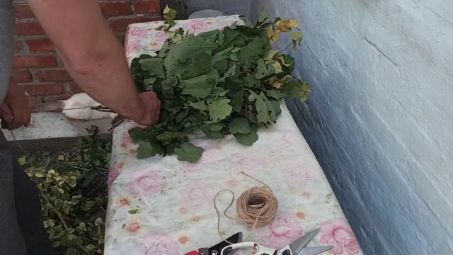 Заготовка БАННЫХ ВЕНИКОВ. ДУБ И БЕРЁЗА.Заснял нарушителя ПДД смотреть онлайн