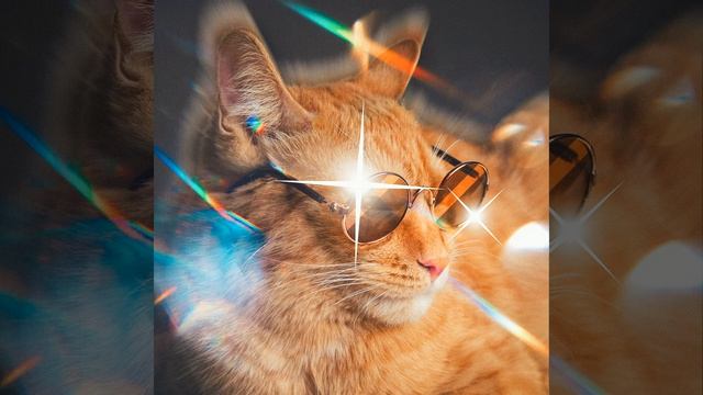 Симба Лучший, Симба Класс