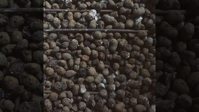 Добрый строитель - о керамзите смотреть онлайн