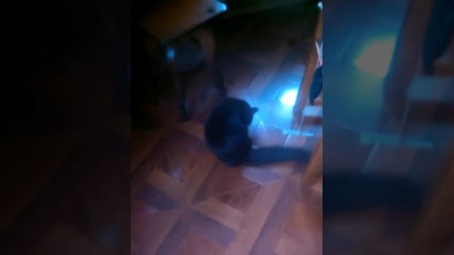 Играю в роблокс крафт петомцев и контер блокс смотреть онлайн