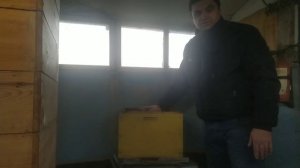 Как воруют ваших пчел.