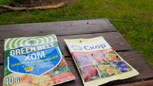 Неприятности  в саду: МОНИЛИОЗ  войлочной вишни. Как бороться.