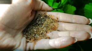 Грунты для аквариума травника. Какие использовать можно, а какие нельзя